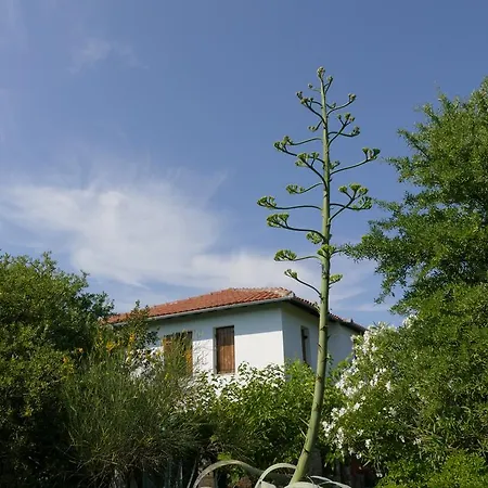 Traditional Stonehouse *