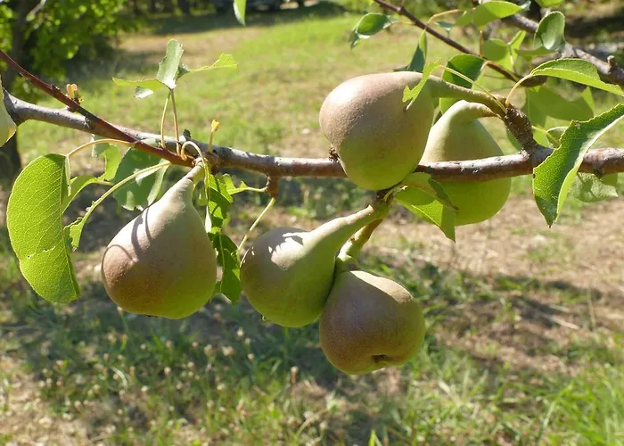 Traditional Stonehouse בית נופש *