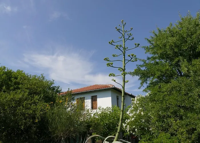 Traditional Stonehouse *