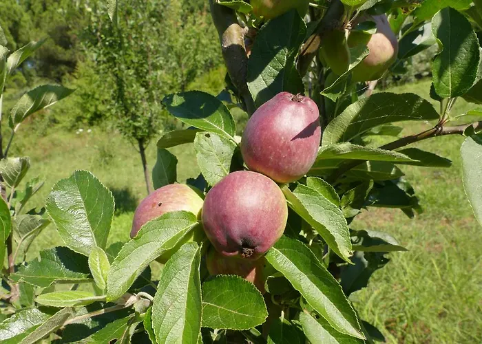 Traditional Stonehouse * פוטיסטיקה
