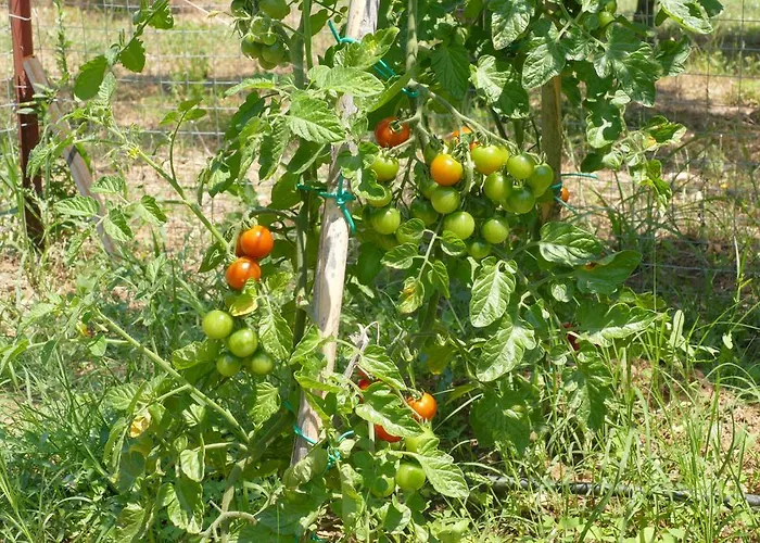 Traditional Stonehouse Semesterbostad